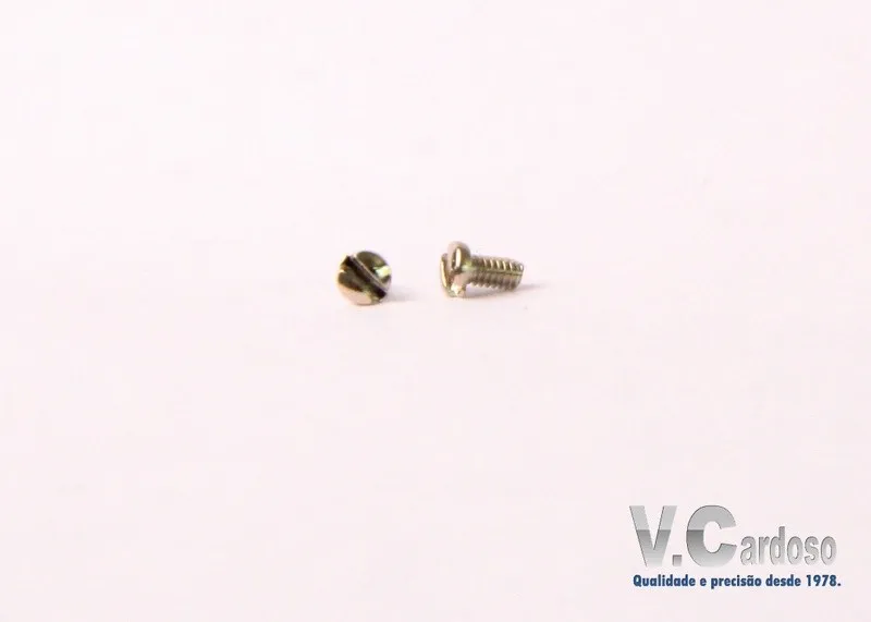 Imagem ilustrativa de Micro parafusos especiais