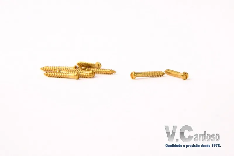 Imagem ilustrativa de Micro parafusos para gaiolas